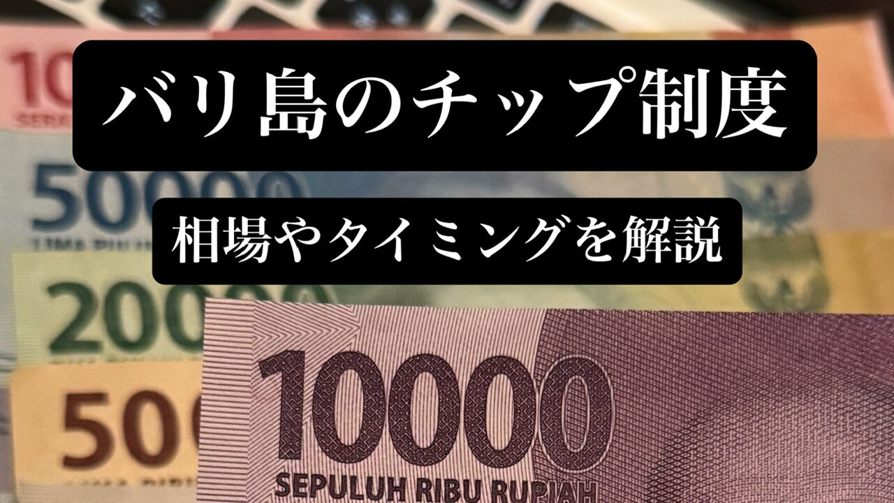 バリ島チップ