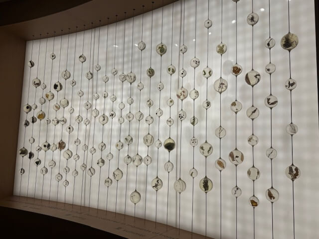 ポーランド