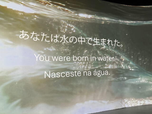 ポルトガル